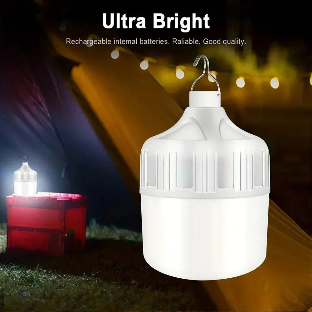 USB Solar Nature Torch