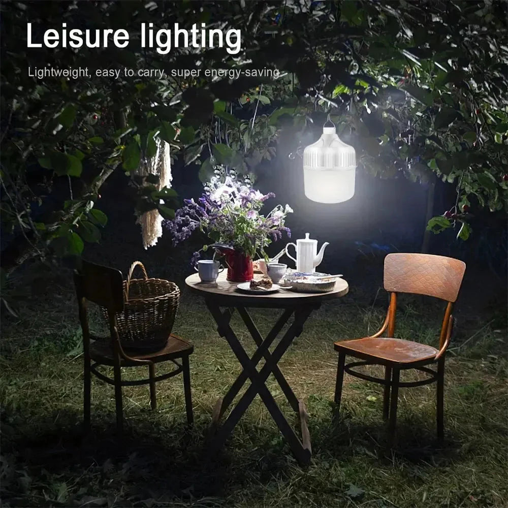 USB Solar Nature Torch
