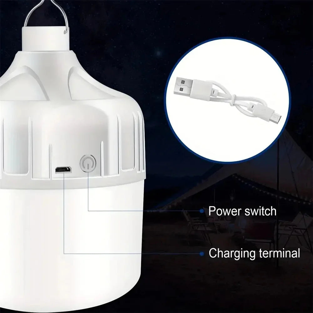 USB Solar Nature Torch